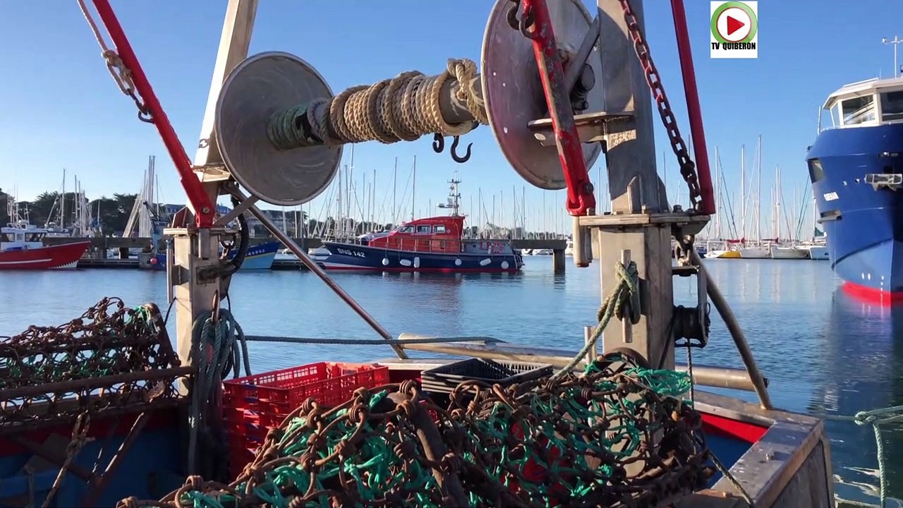 Quiberon | ‍♀️ ️ ⛴️ Soleil, plages et Chalutiers - TV Quiberon 24/7