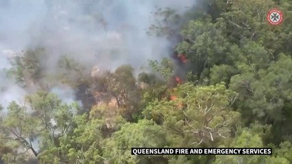 Australie: l'Île Fraser ravagée par les feux de forêt