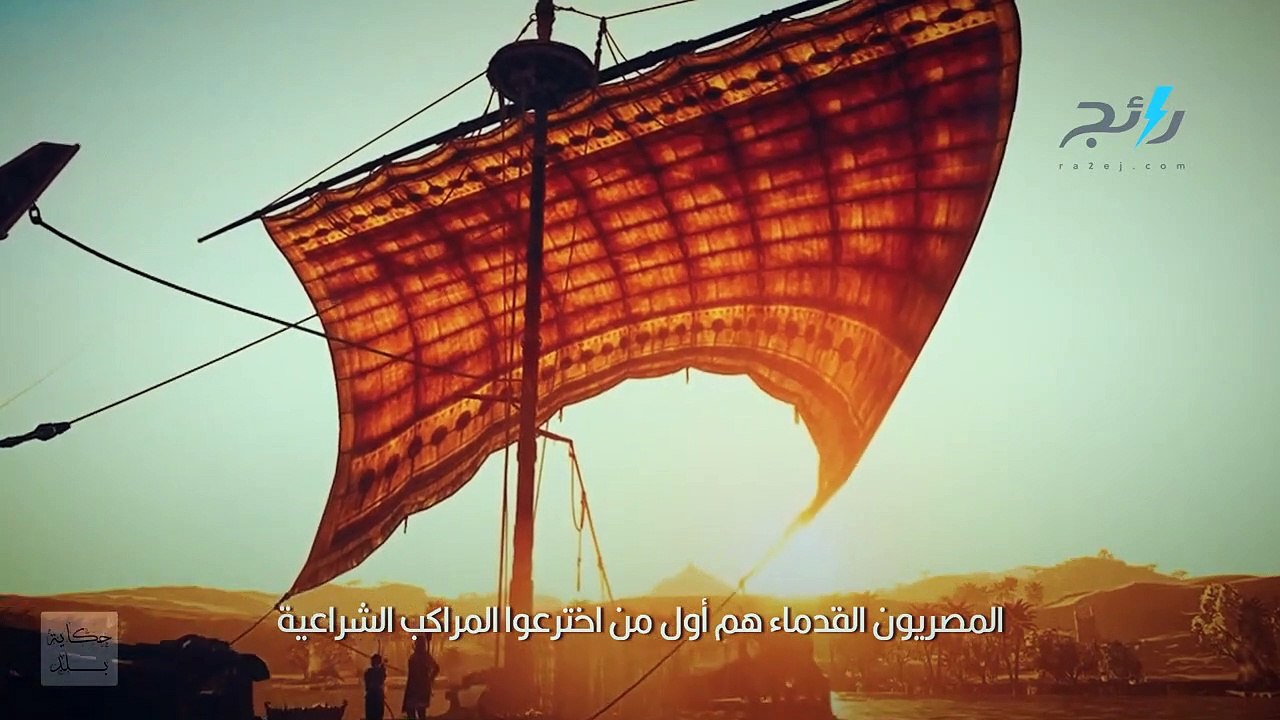 الإعدام عقوبة قتل القطط وهذا سر اسمها: معلومات قد لا تعرفها عن مصر