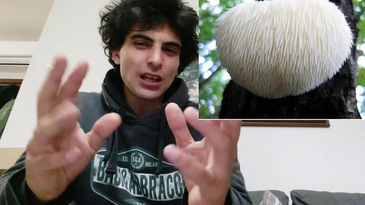 BIOHACKING Hericium Erinacius Lion's Mane Salute Efficienza del Cervello