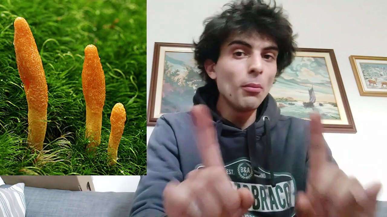 BIOHACKING Potenziare Organismo e Sistema Immunitario con il Cordyceps Sinensis
