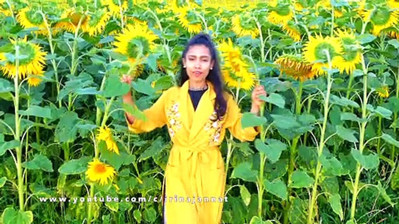 An Evening with Jannat in the Sunflower field.সুইজারল্যান্ডের সূর্যমুখী ফুলের মাঠে একটি বিকাল.