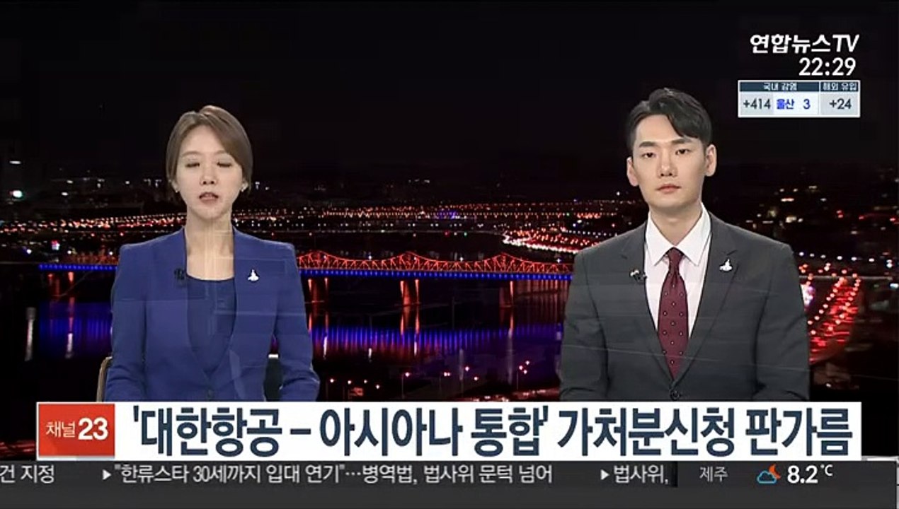 '대한항공-아시아나 통합' 가처분신청 판가름