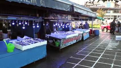 TRABZON - Tezgahlardaki balık bolluğu vatandaşın yüzünü güldürdü