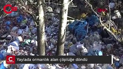 Yaylada ormanlık alan çöplüğe döndü