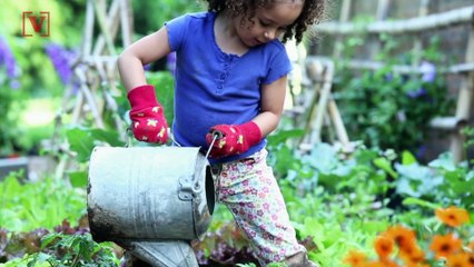 Follow These Small Home Home-Farming Tips