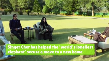 Cher helps 'world's loneliest elephant' find new home