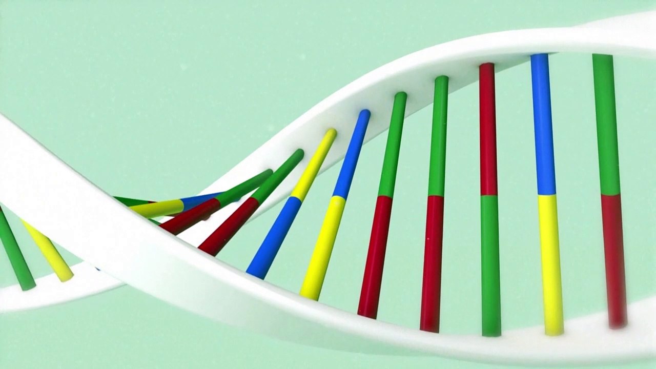 Videografik: So funktionieren mRNA-Impfstoffe