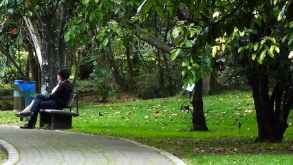Carta al amor de mi vida (Reflexiones) | Yohan Cala