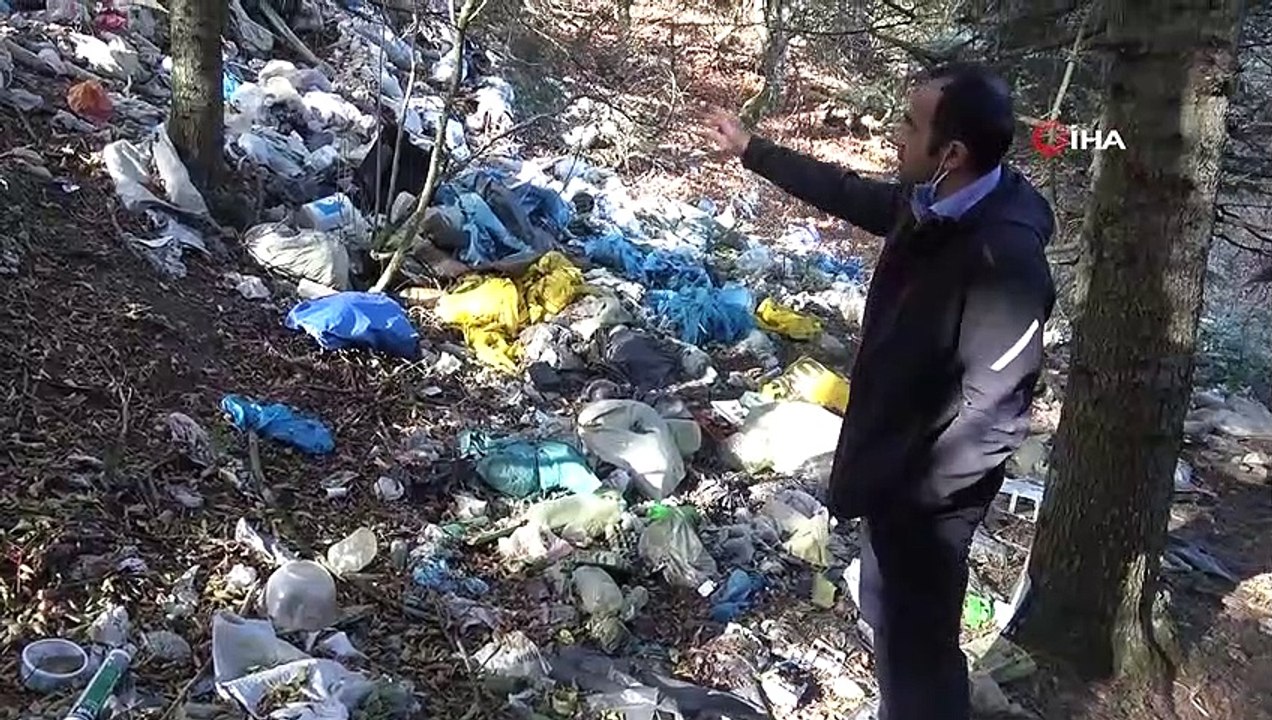 Bolu’da Ormanlara Atılan Çöpler Doğal Hayatı Tehdit Ediyor