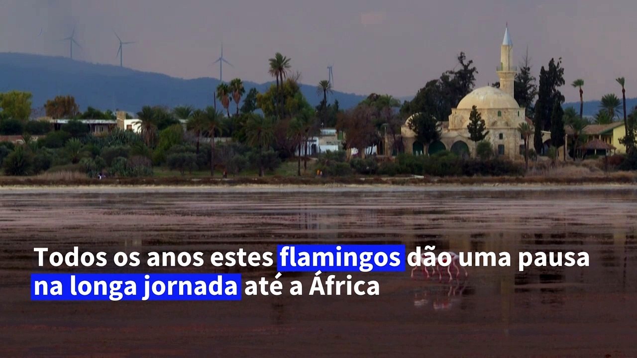 Ganhando força