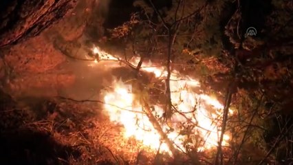 KASTAMONU - Araç'ta orman yangını