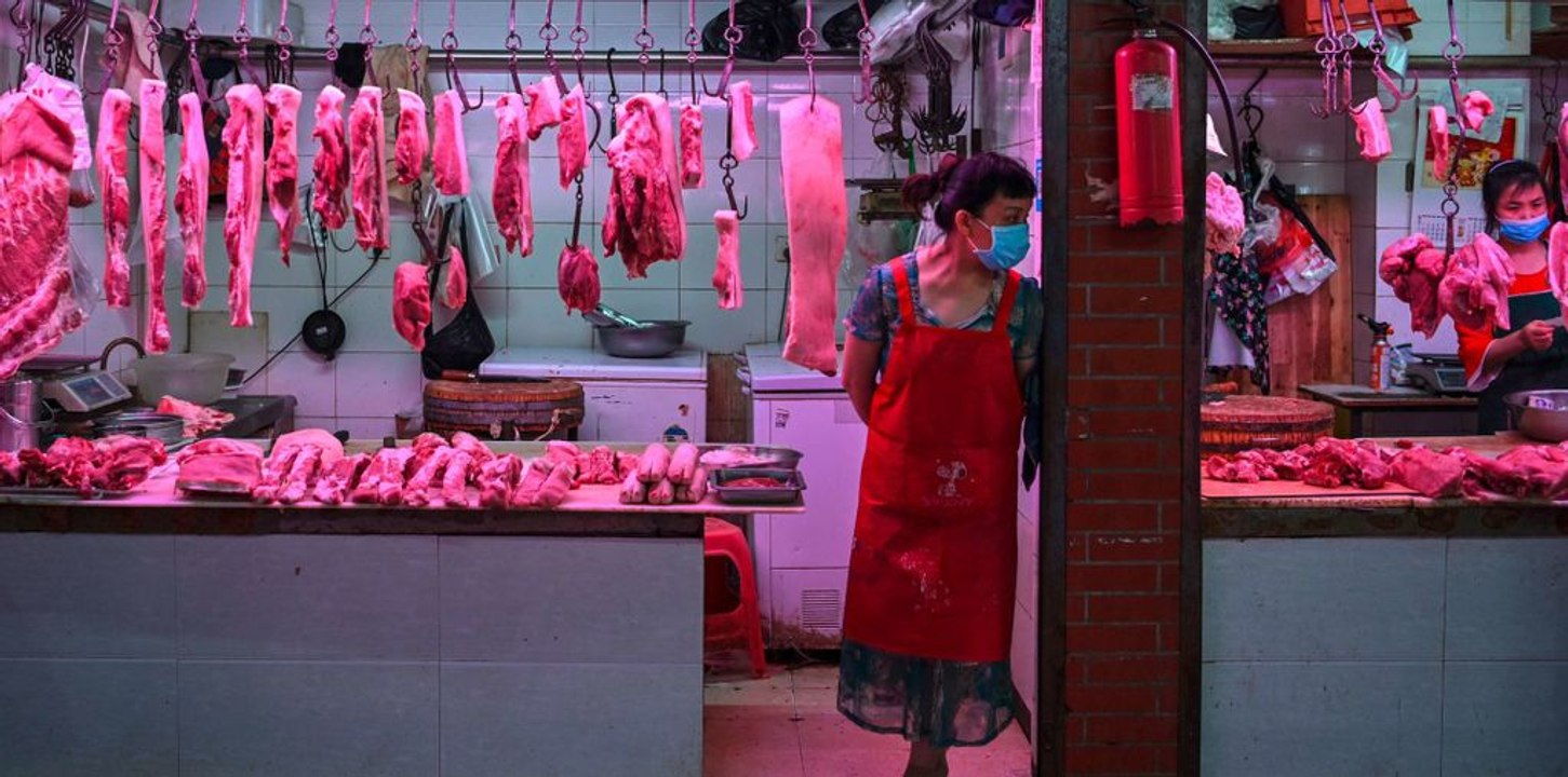 Un an après les premiers cas de covid 19, l'origine du virus demeure un mystère