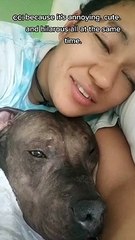 Pitbull Wakes Up to Sing His Favorite Song