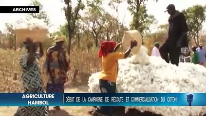 Le Flash de 10 Heures de RTI 1 du 29 novembre 2020 par Hermann Guivé