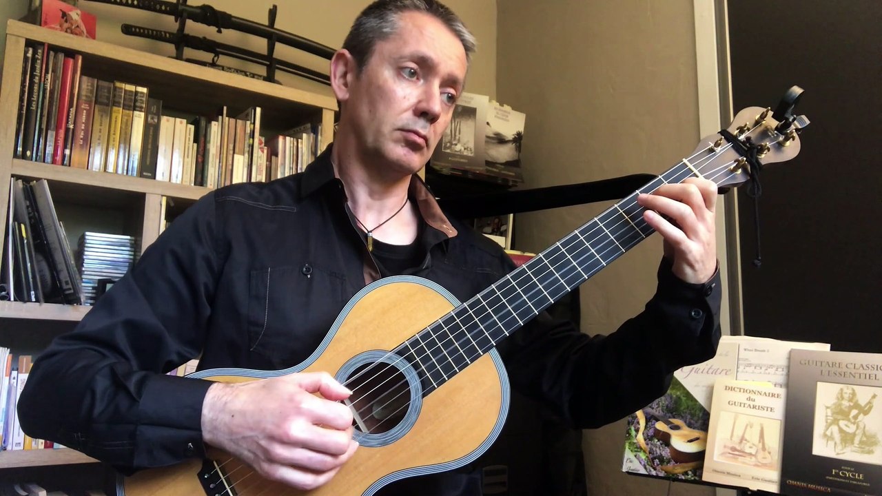 Andante n°31 op.241 en Mi Majeur de Ferdinando Carulli - Eric Gautier