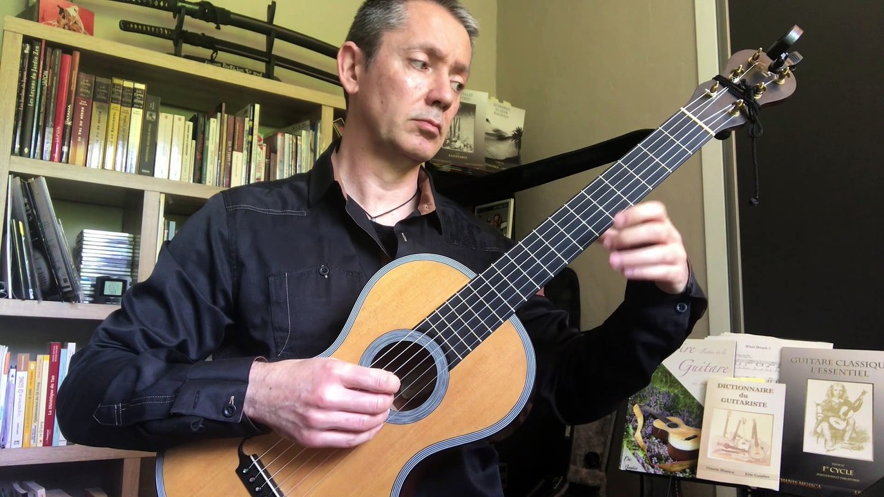 Andante 5 en G de Ferdinando Carulli - Eric Gautier