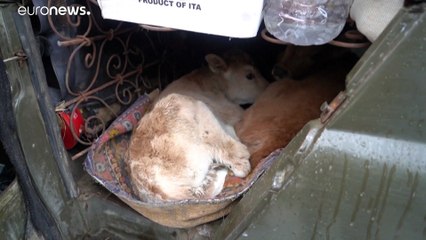 Армяне покидают Лачинский район