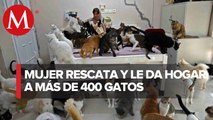 ¡Amor gatuno! Mujer vive con más de 400 gatos que ha rescatado de la calle