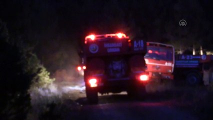 KASTAMONU - Araç'ta orman yangını (2)