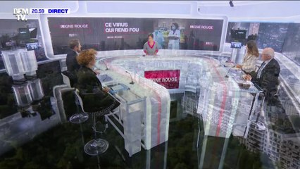 "Ce virus qui rend fou": revoir l’enquête de BFMTV