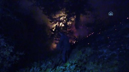 KASTAMONU - Orman yangını kontrol altına alındı