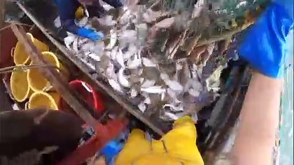 Dernière ligne droite pour les négociations post-Brexit