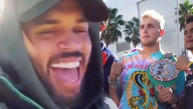 Chris Brown Reacts To Jake Paul vs Nate Robinson Fight