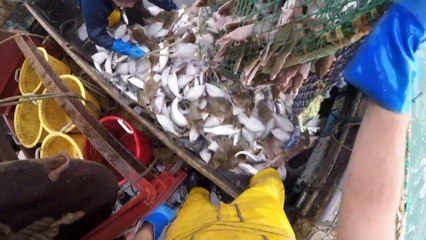 Последние переговоры по "брекситу"