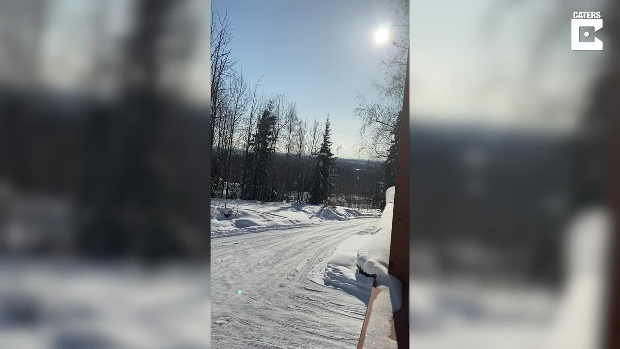 Rundgang eines Immobilienmaklers geht ein wenig schief