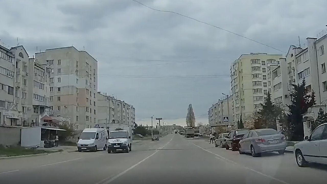 Dieser Hund kann laufen wie ein Mensch