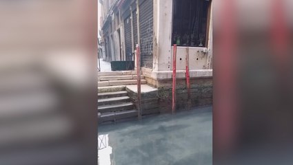 Corona-Quarantäne: Unfassbare Stille und klares Wasser in Venedig