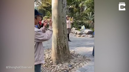 Perfekt für Sportmuffel: Mittelfinger-Pilates