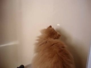 Cali et le rayon de soleil