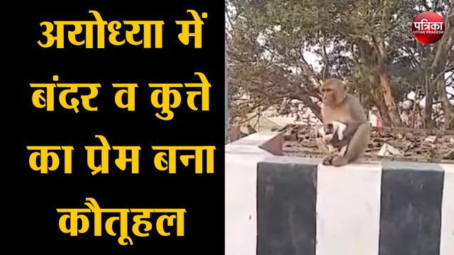 अयोध्या में बंदर व कुत्ते का प्रेम बना कौतूहल, वीडियो वायरल