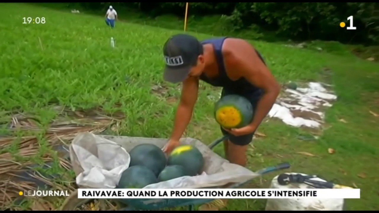 Raivavae, terre agricole de générations en géné...
