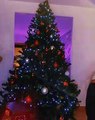 Τανιμανίδης – Μπόμπα: Το χριστουγεννιάτικο δέντρο και ο στολισμός υπερπαραγωγή