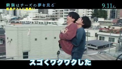 映画『窮鼠はチーズの夢を見る』