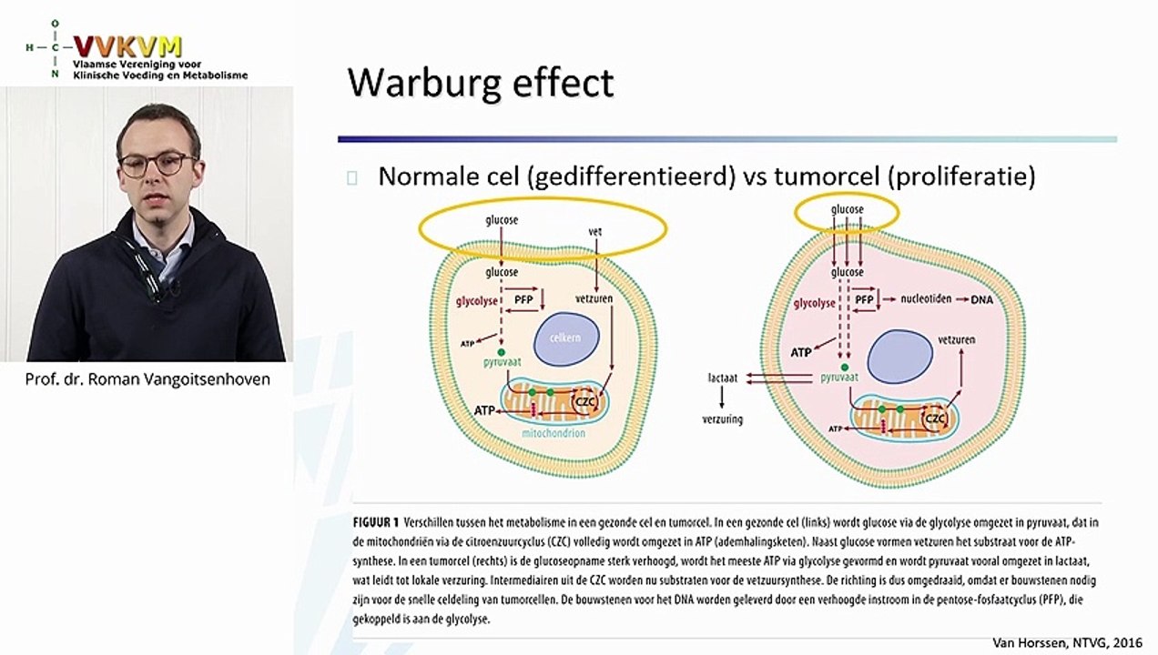 Prof. dr. Roman Vangoitsenhoven_Koolhydraatbeperking_Vasten