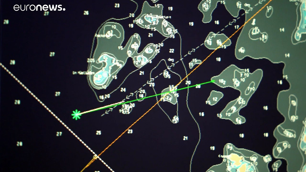 Kampf gegen den unbeabsichtigten Tod von Delfinen