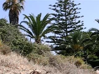 algarve praia da rocha