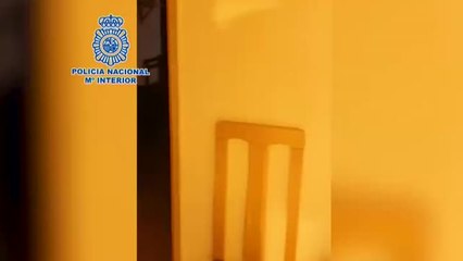 Desmanteladads dos plantaciones de marihuana en dos inmuebles de Madrid