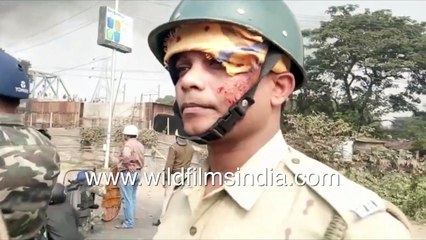 Tải video: Stone pelting, police use rubber ammunition on demonstrators, injured policemen at CAA rally, WB