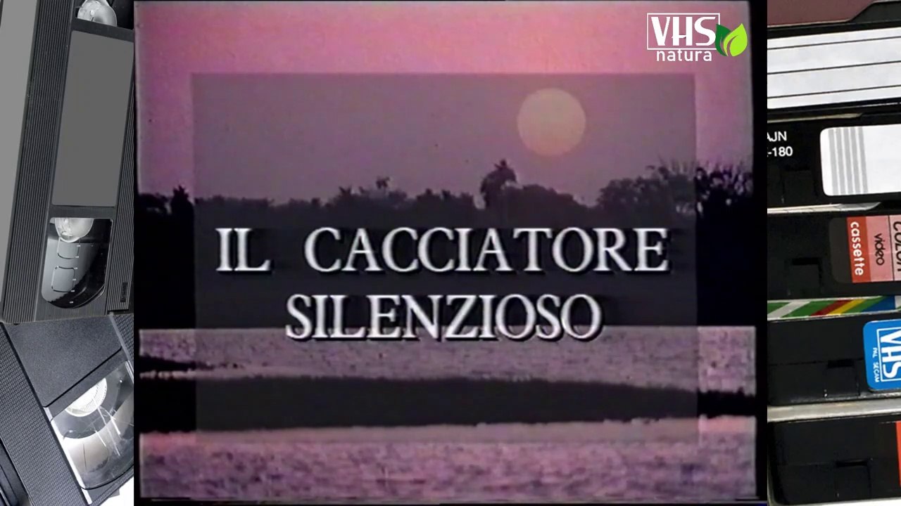 IL CACCIATORE SILENZIOSO