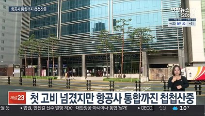 한숨 돌린 대한항공·아시아나 통합…앞으로도 난관