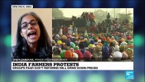 Indian farmers fear reforms will drive down prices