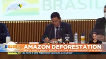 Amazon deforestation at highest level in 12 years, new data reveals