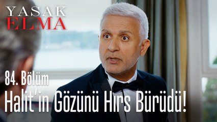 Halit'in gözünü hırs bürüdü - Yasak Elma 84. Bölüm