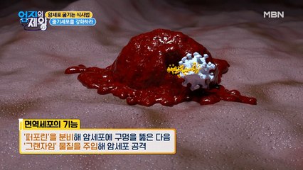 암을 죽이는 줄기세포! 놀라운 그 기능은?!