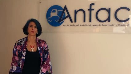 Asociaciones del sector de automóviles expresan su "preocupación"